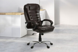 Best Chair for Back Pain