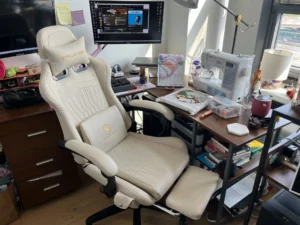 Best Ergonomic Gaming Chairs in 2026